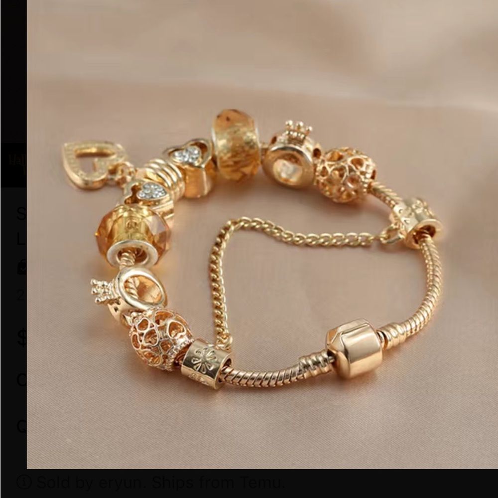 Pandora Style Charm Bracelet.NWOT